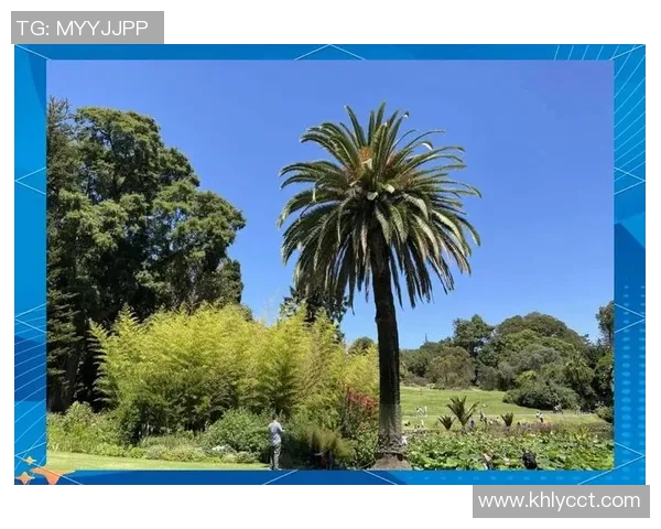 墨尔本与首尔的文化碰撞与城市魅力探索之旅